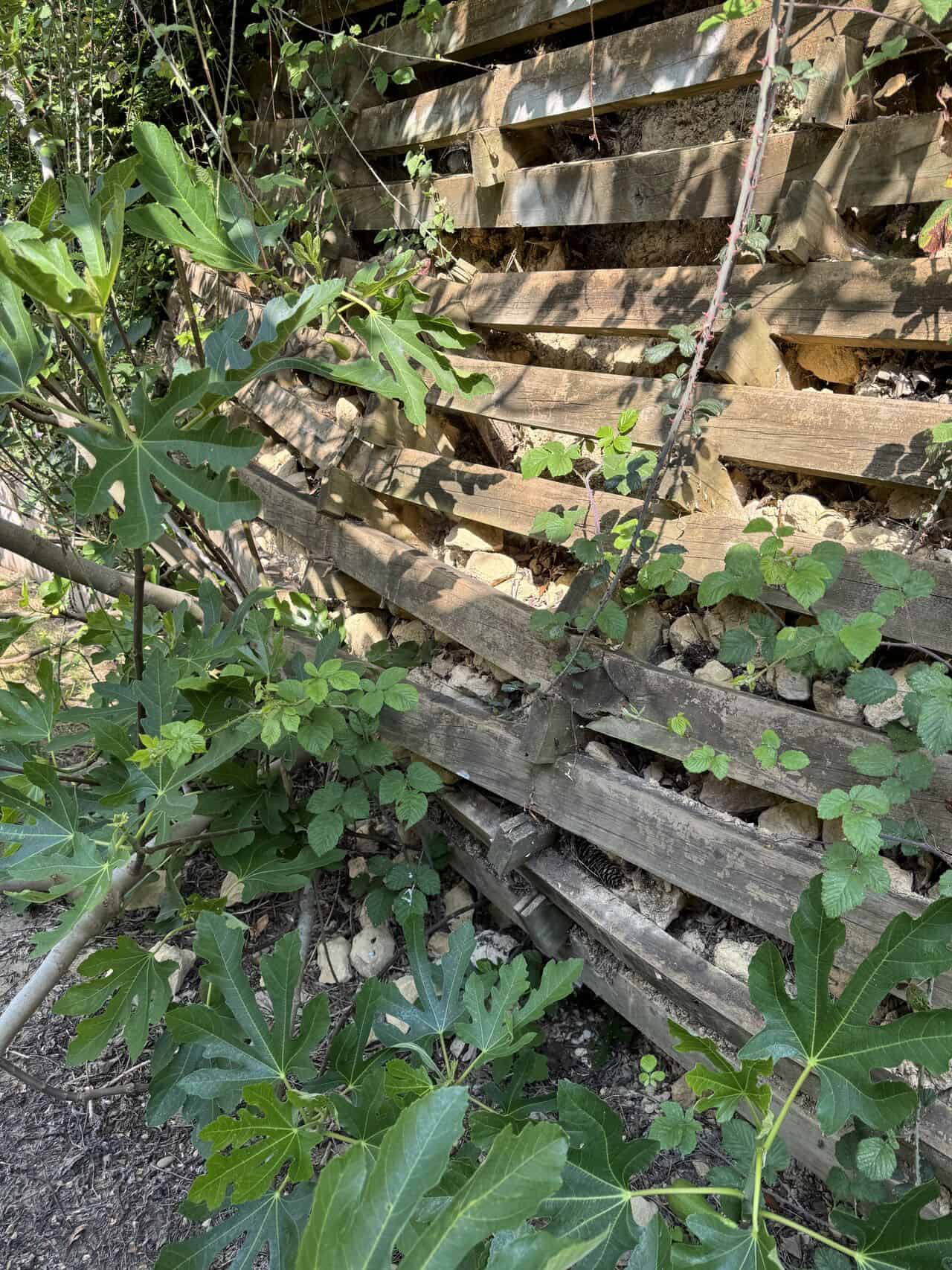 Failing timber crib retaining wall in Peterborough private garden before repair works